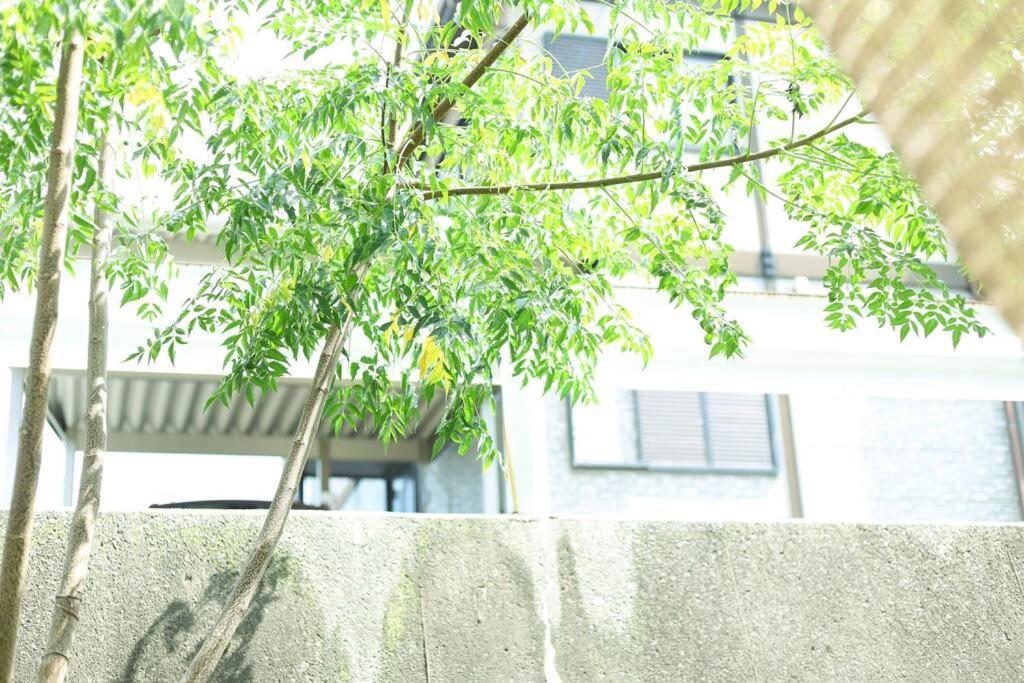 犬山1棟貸切り-guest House Sakura * Inuyama